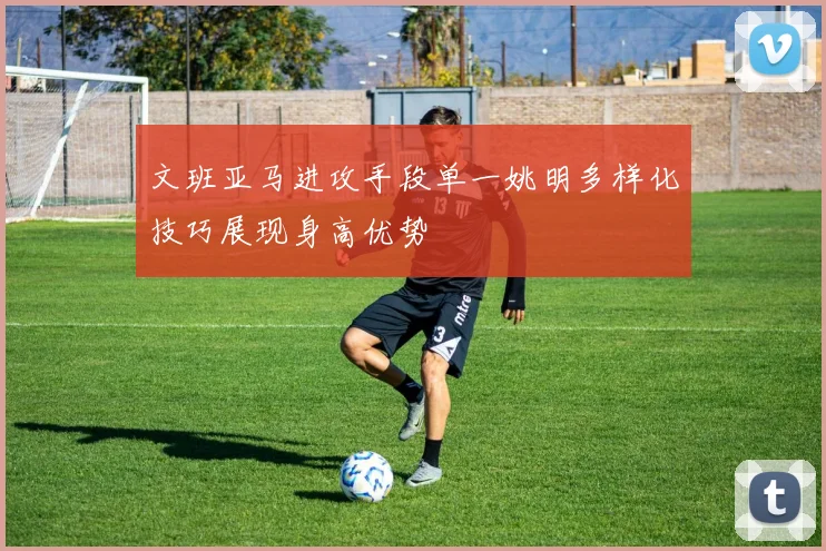 文班亚马进攻手段单一姚明多样化技巧展现身高优势